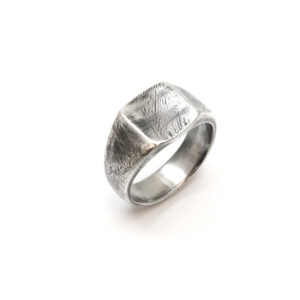 RAW SignetRing i Sølv